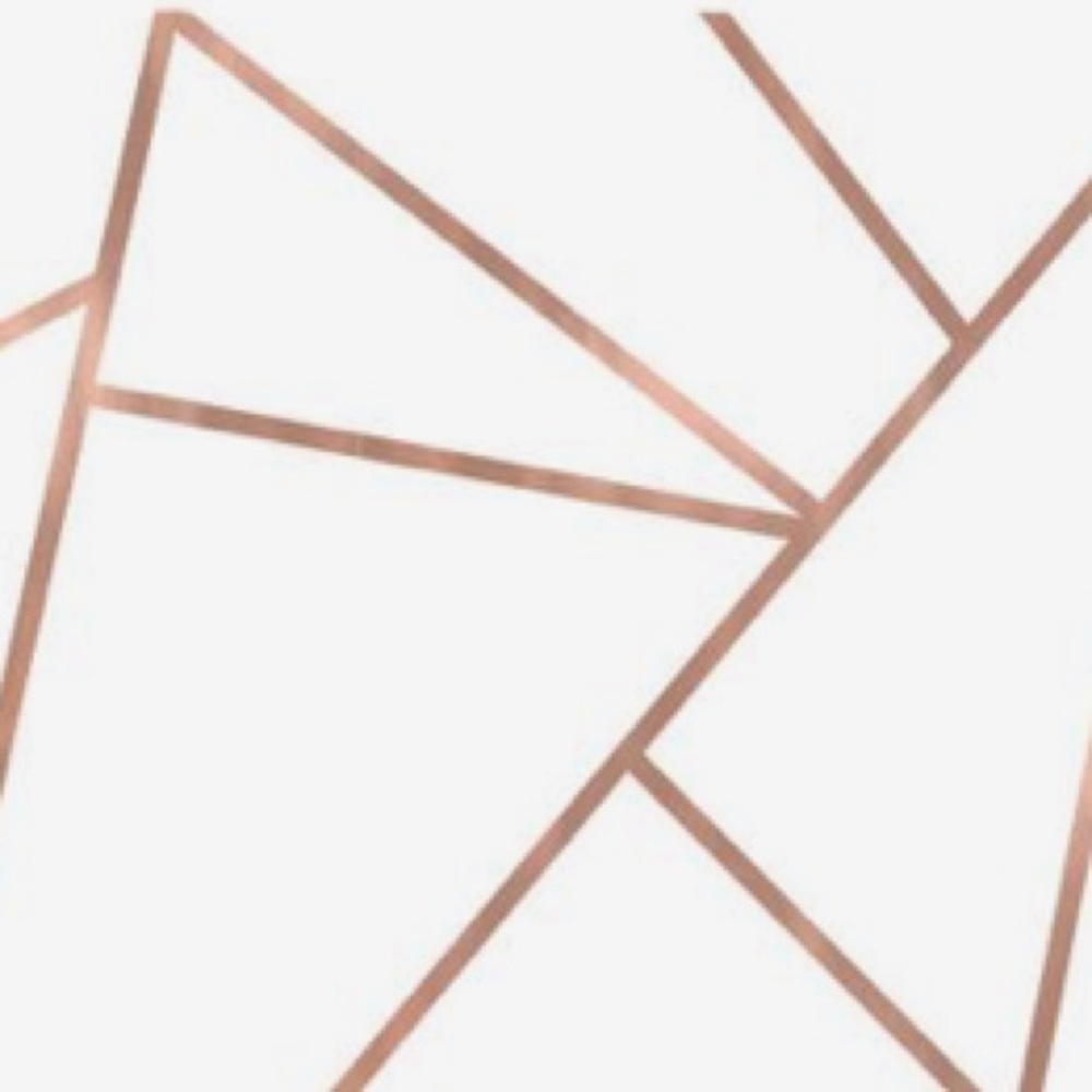 Meet your Posher, Addi